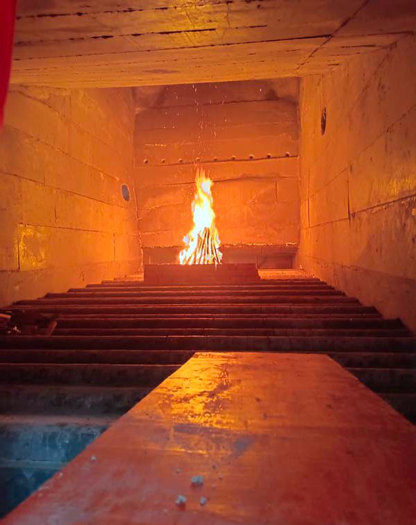 20230726172433188647